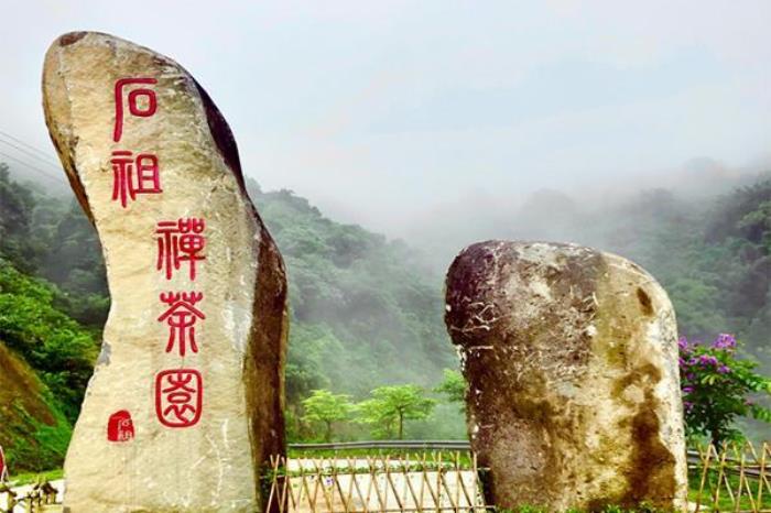 石祖禅茶园 石祖禅茶园