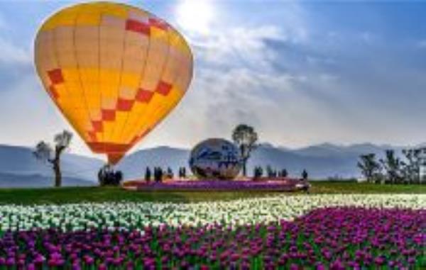 大河堡凉都花海贵州景点