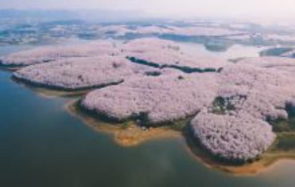 平坝农场贵州景点