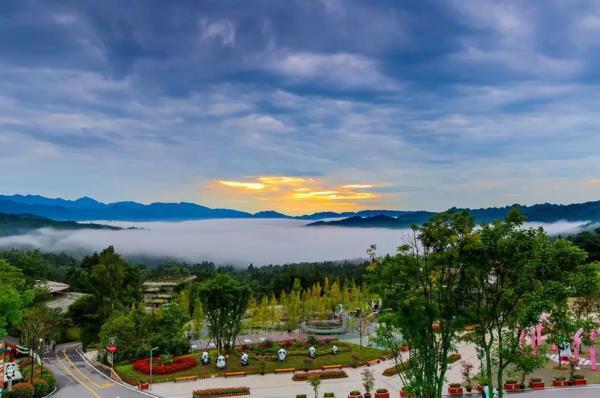 碧峰峡野生动物园