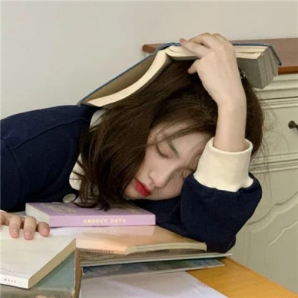 广州伴游宏凌海个人说明