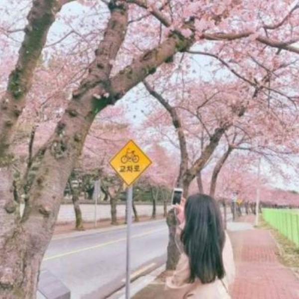 深圳伴游舒梦易个人说明 深圳伴游舒梦易个人说明