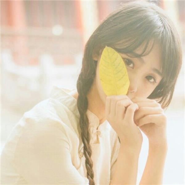 深圳伴游浑思碧个人介绍