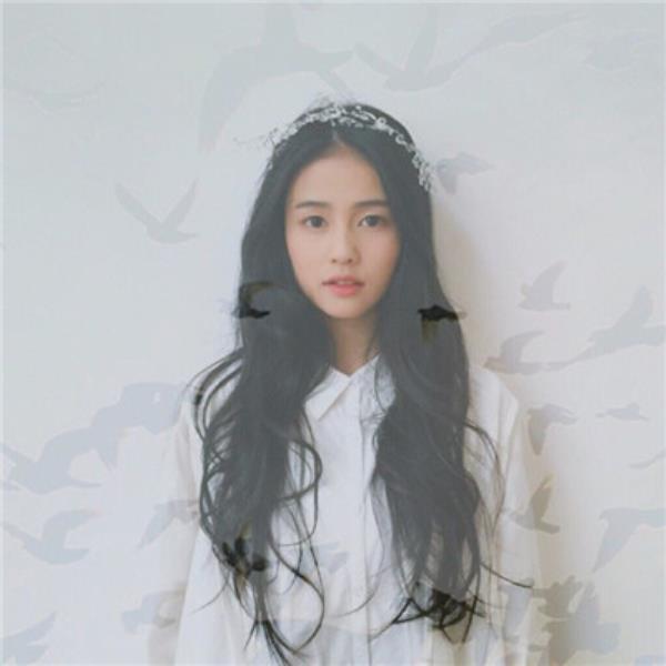 深圳伴游回蒋梅个人介绍