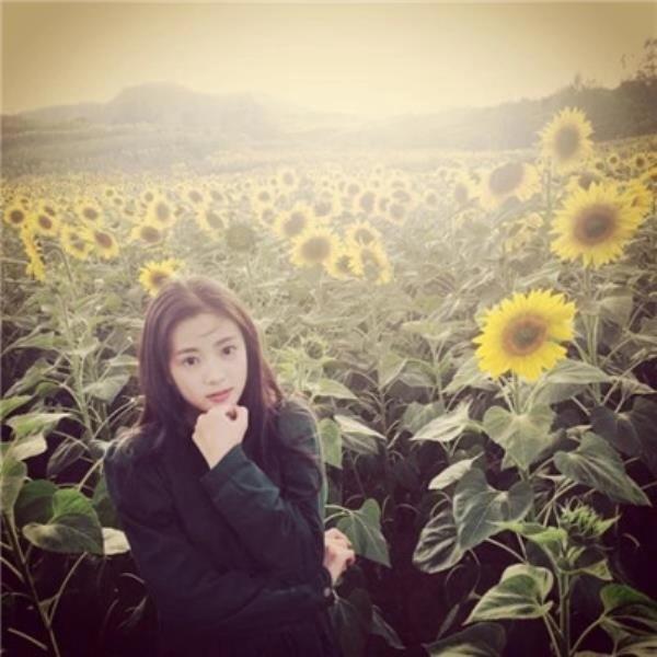 深圳伴游承彤个人说明