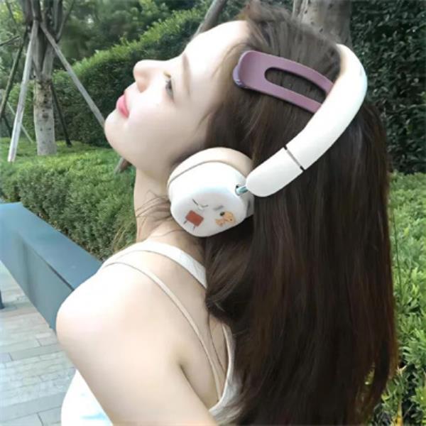 广州伴游容洁安个人说明