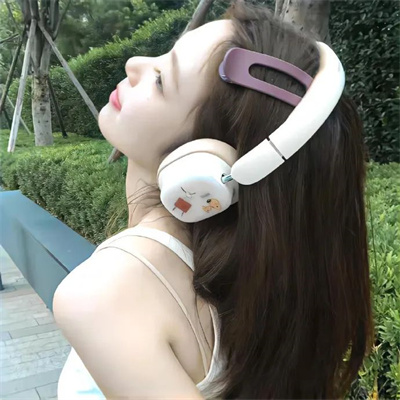 广州伴游容洁安个人说明